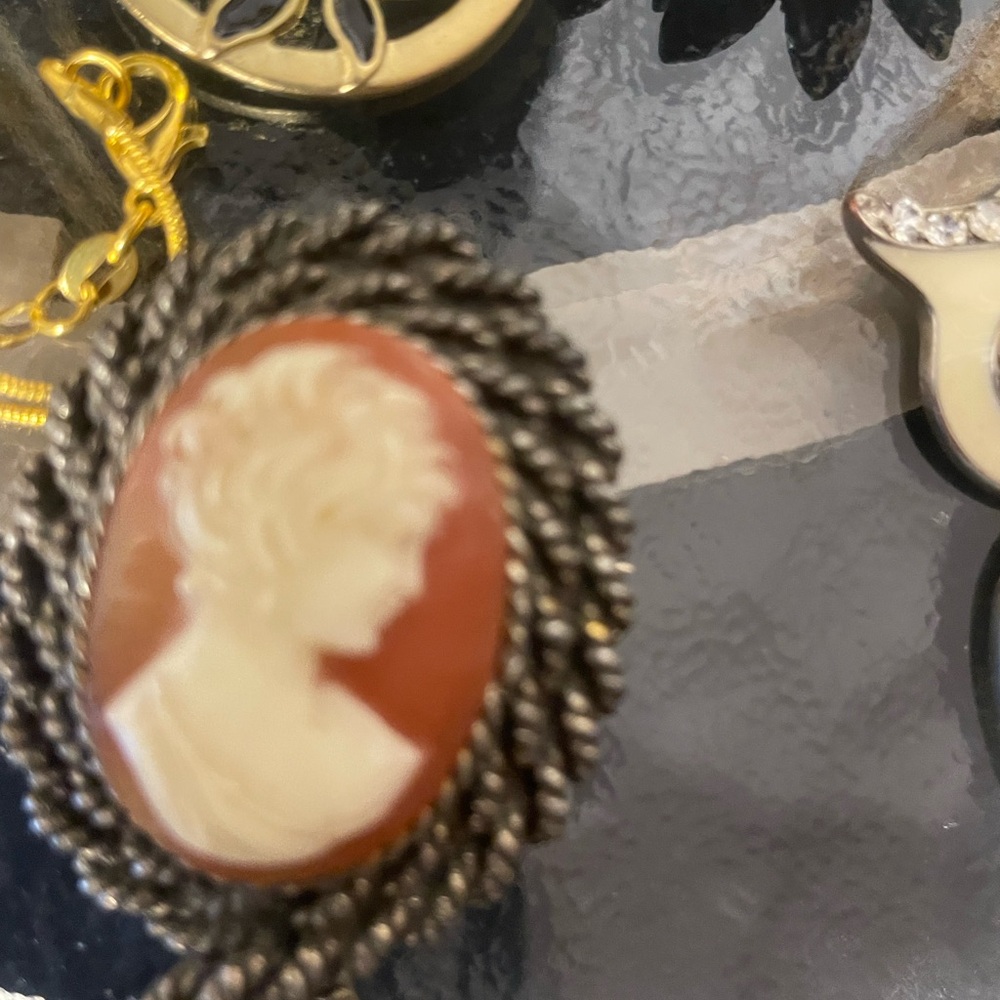 Vintage Cameo Brooch with Twisted Metal Frame